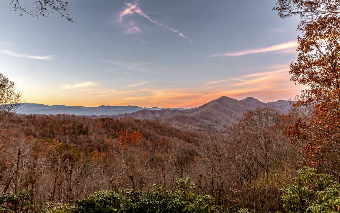 Photo of Others in Sylva