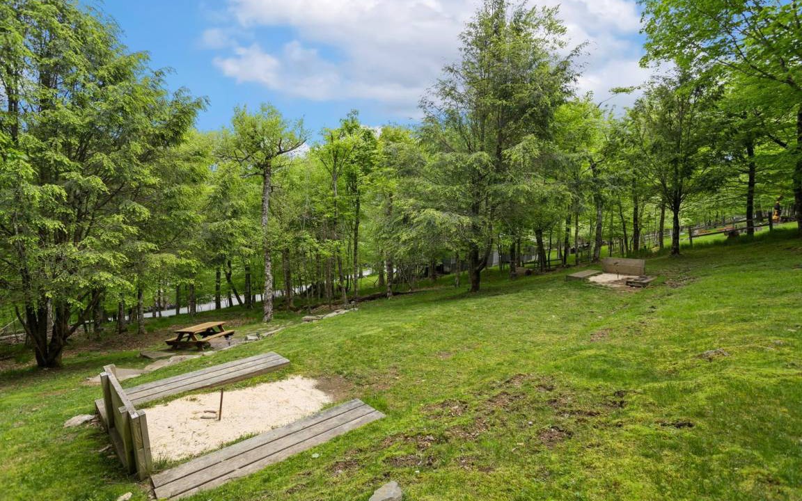 Photo of Others in Beech Mountain
