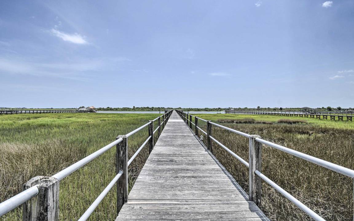 Photo of Others in Sea Trail