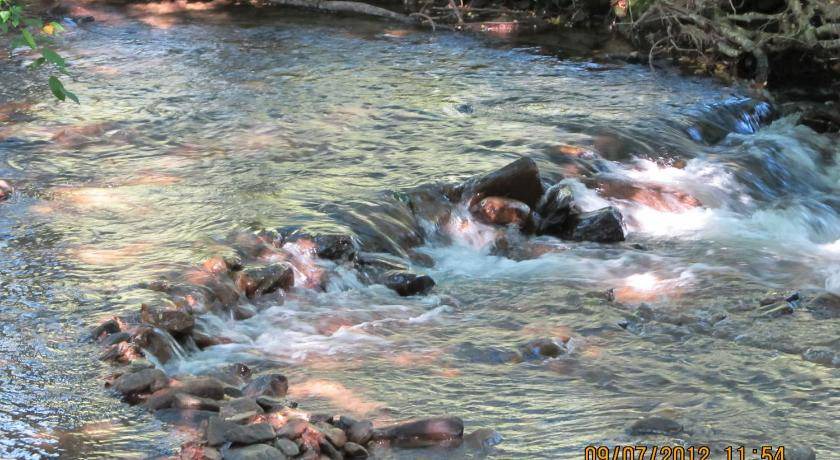 Photo of Others in Valley Creek Run