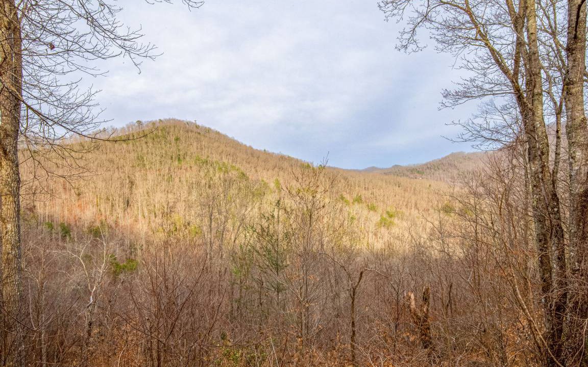 Photo of Others in Sylva