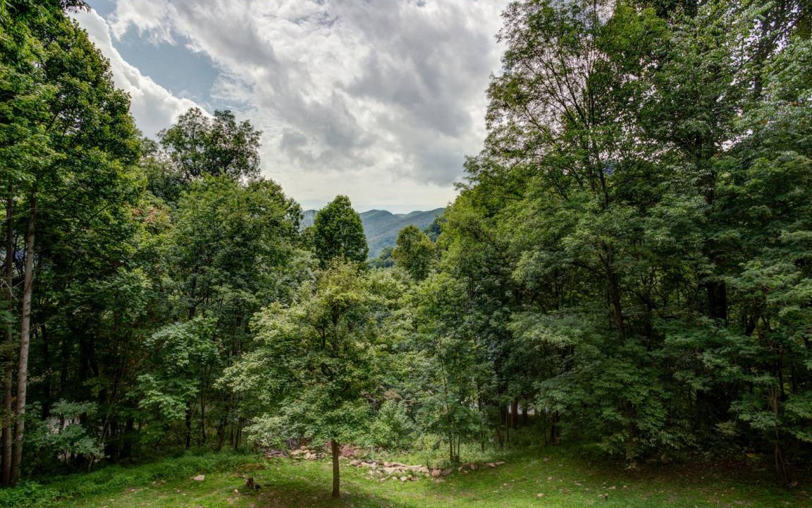 Photo of Others in Maggie Valley