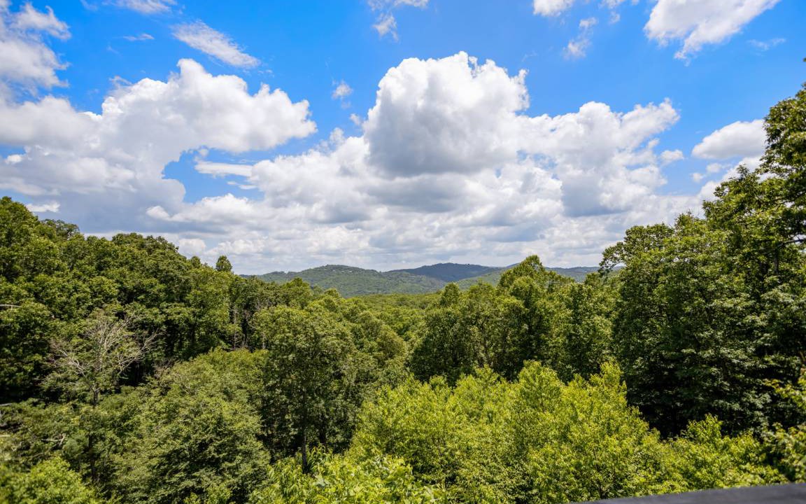 Photo of Others in Blowing Rock