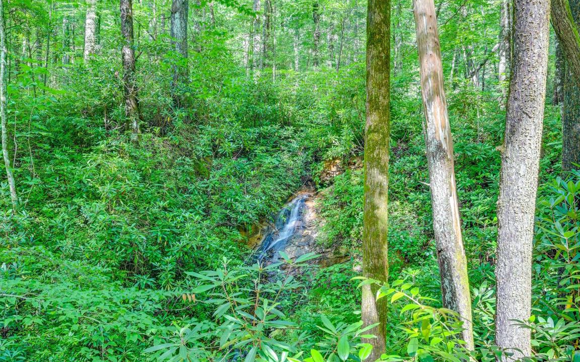 Photo of Others in Rosman