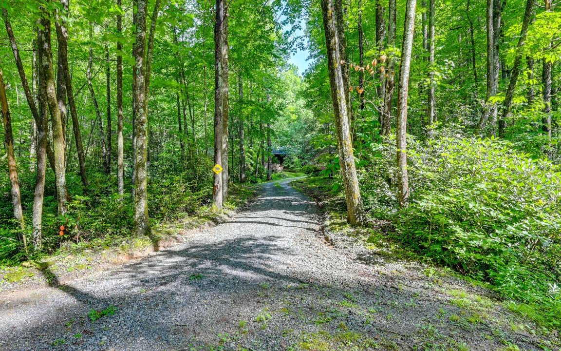 Photo of Outdoor in Rosman