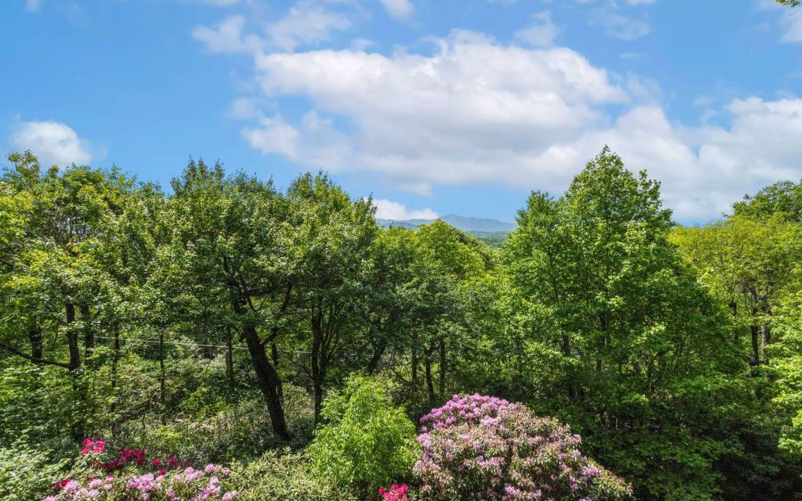 Photo of Others in Blowing Rock