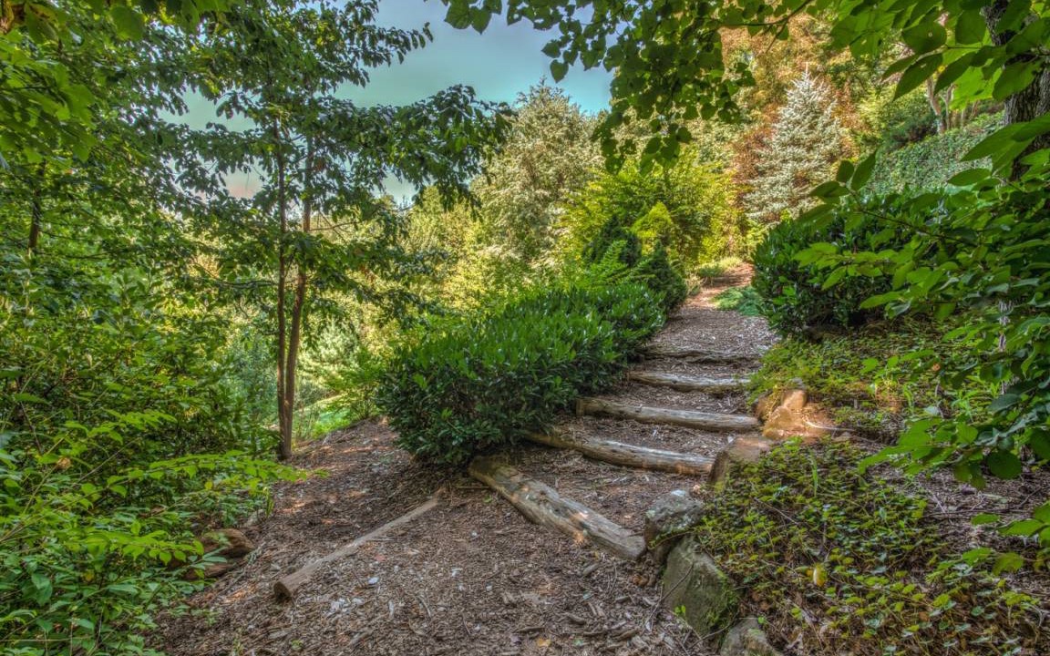 Photo of Others in Asheville