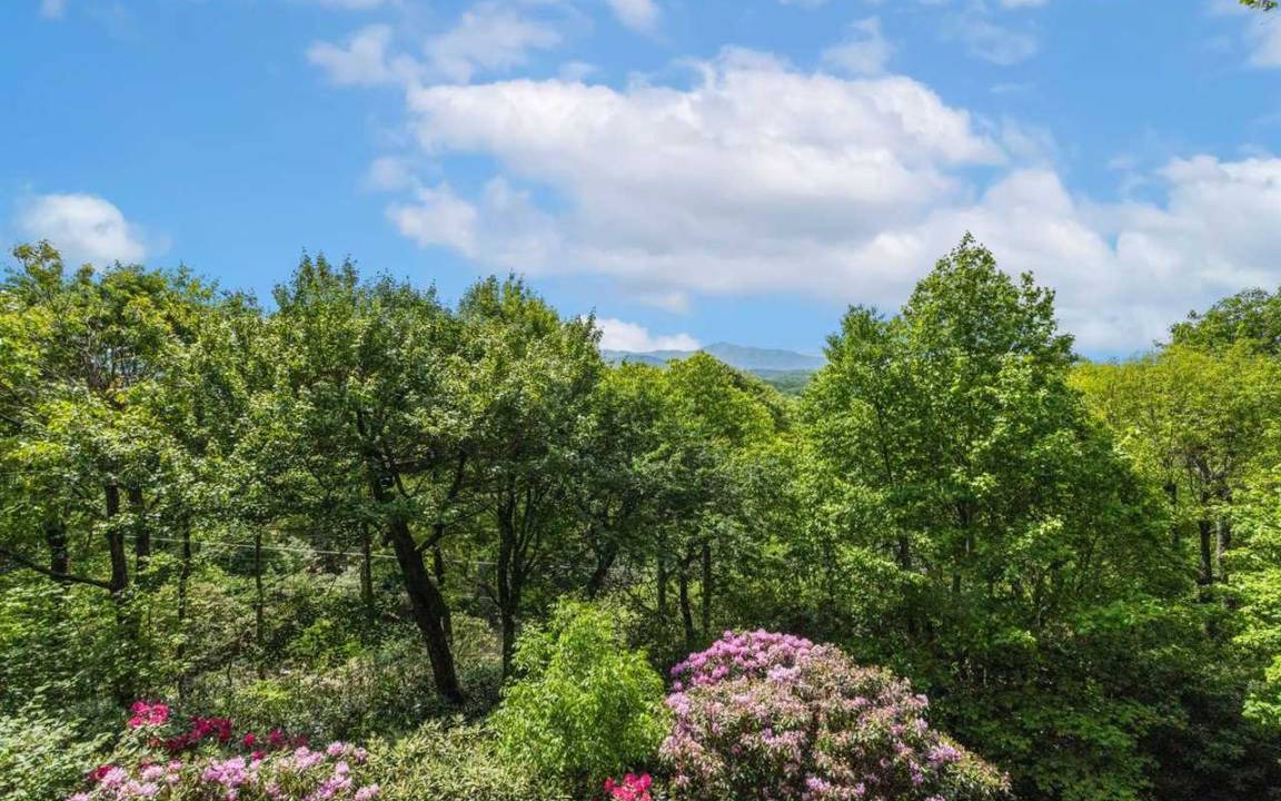 Photo of Others in Blowing Rock