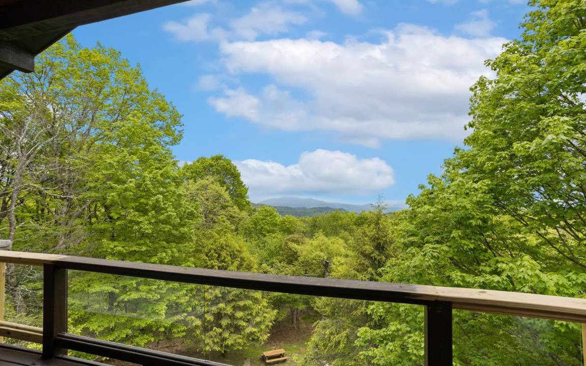 Photo of Others in Beech Mountain