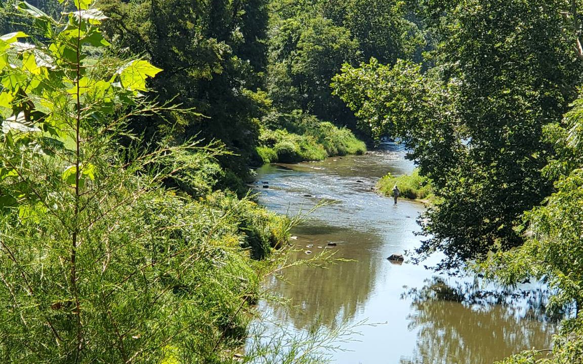 Photo of Others in Sugar Grove