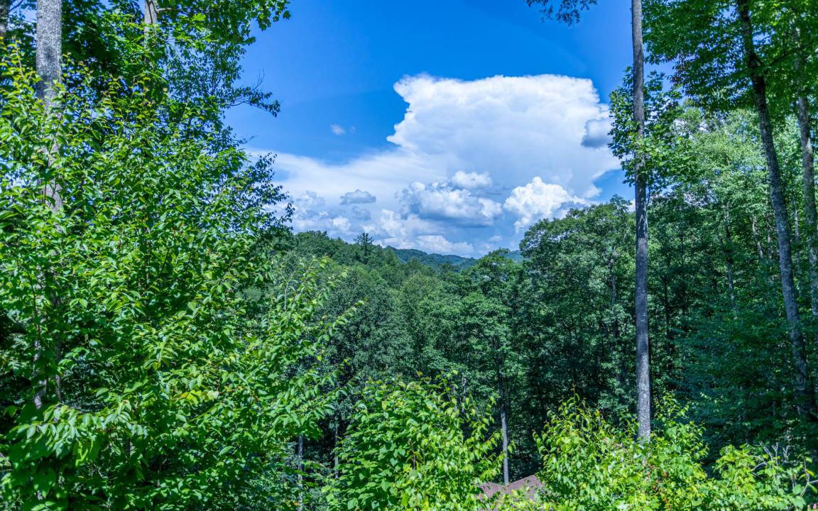 Photo of Others in Boone
