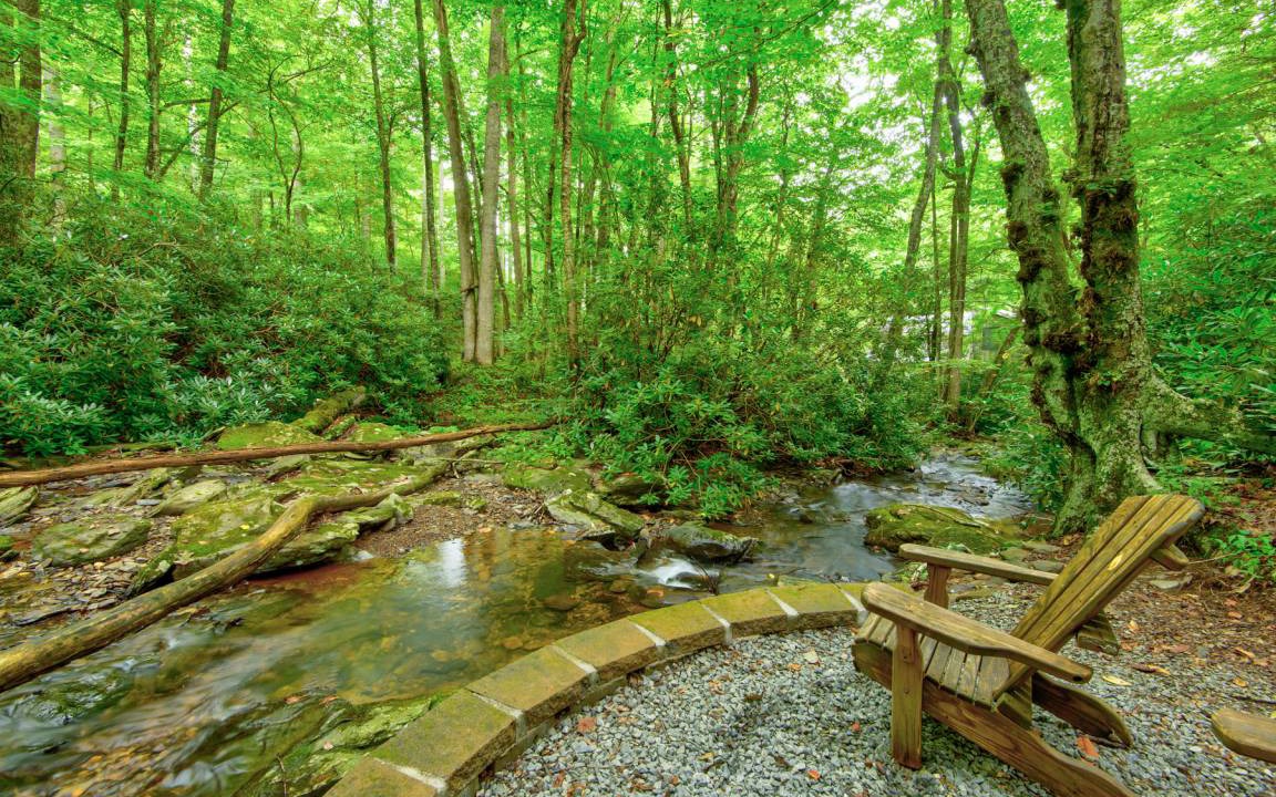 Photo of Others in Boone