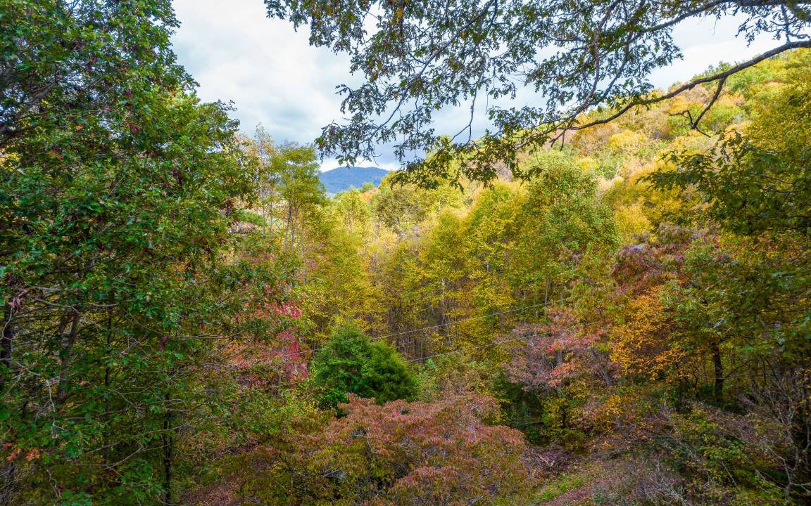 Photo of Others in Sylva