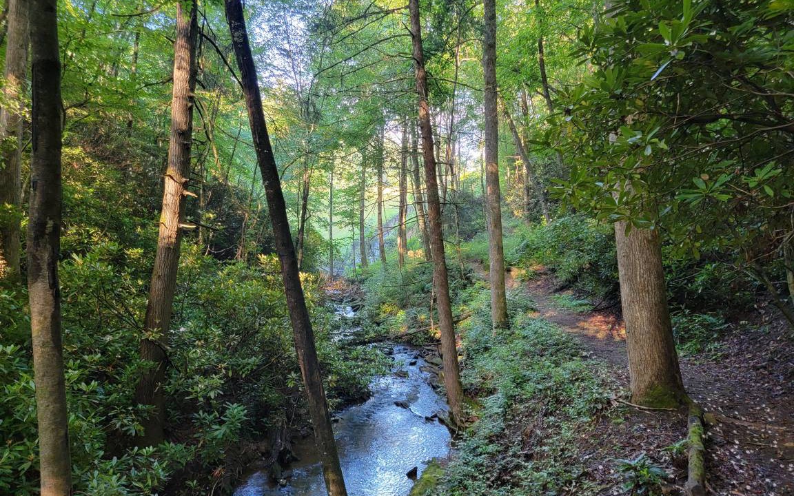 Photo of Others in Lake Toxaway