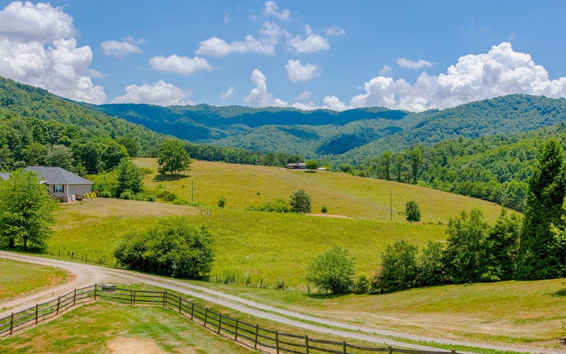 Photo of Others in Weaverville