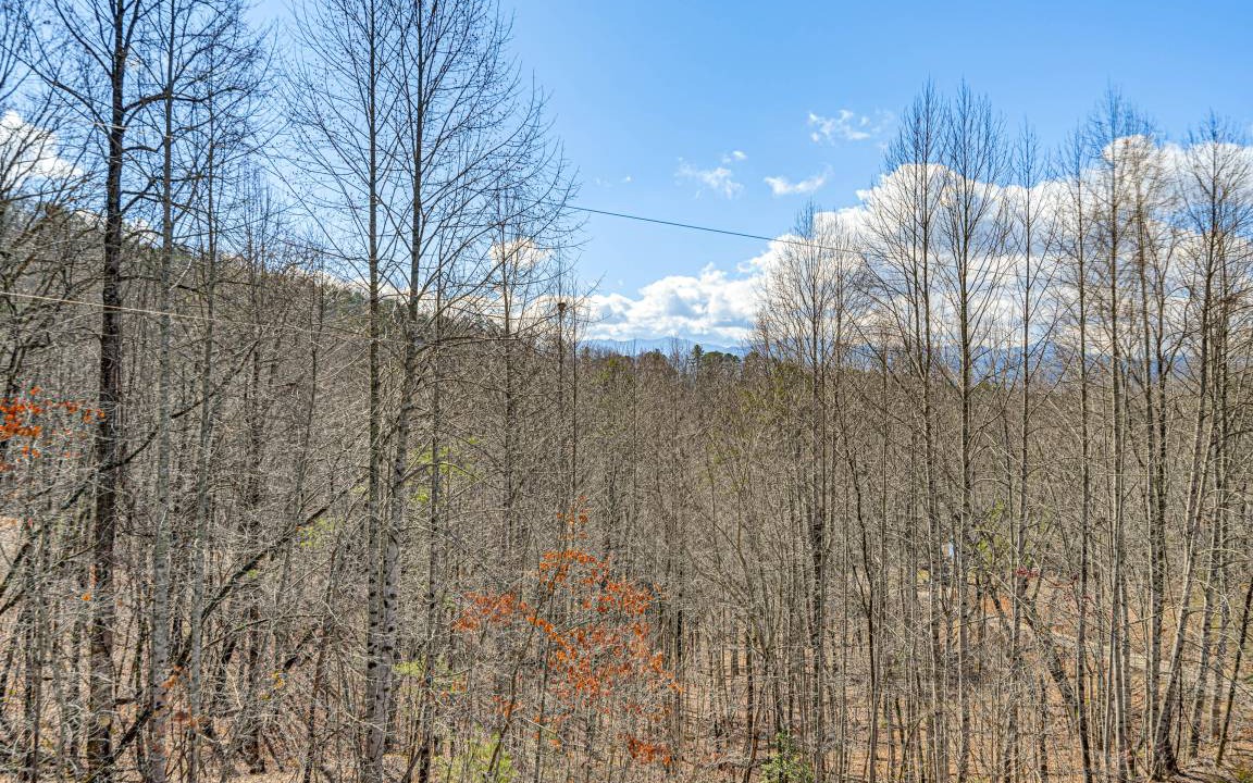 Photo of Others in Bryson City