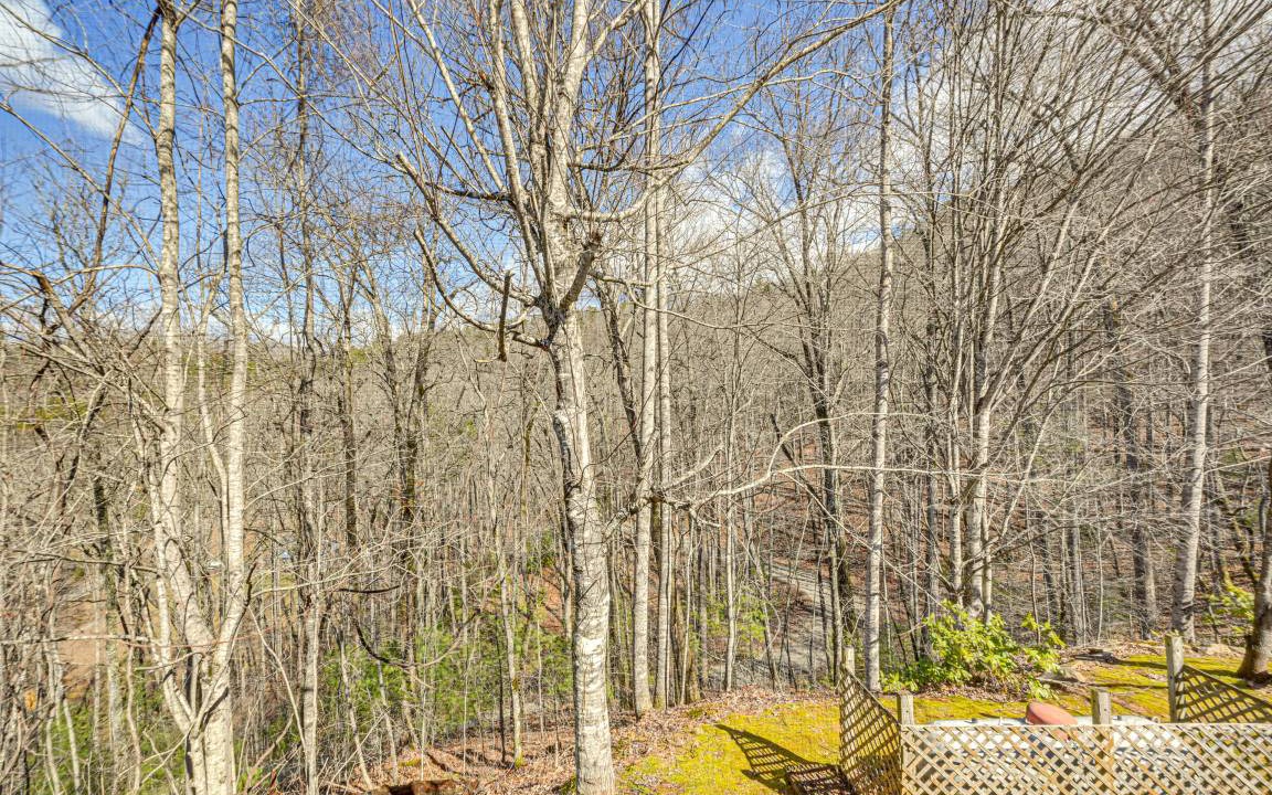 Photo of Others in Bryson City