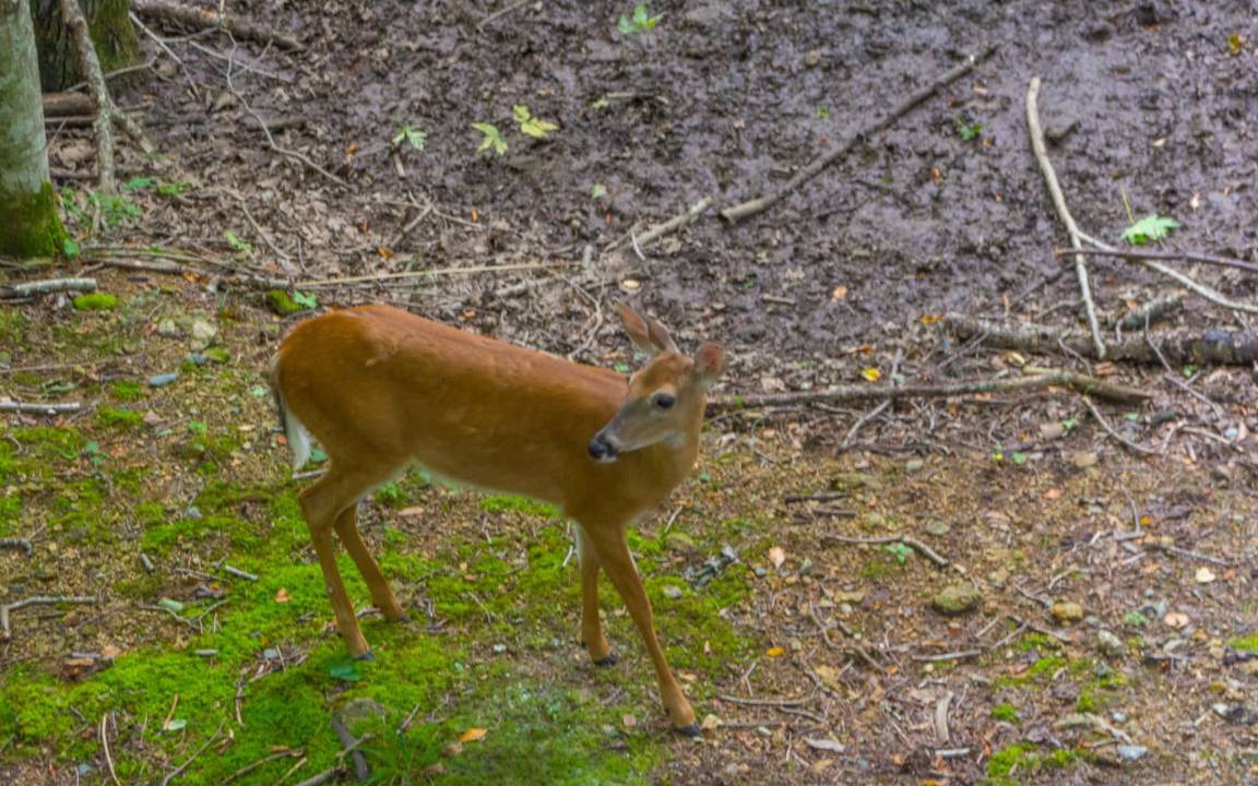 Photo of Others in Charter Hills