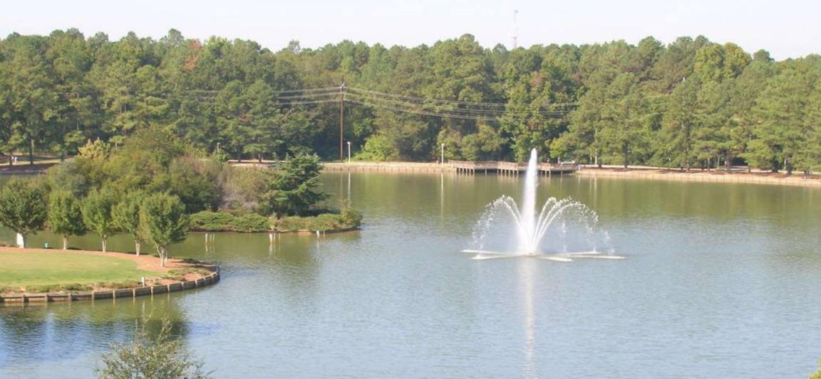 Photo of Others in Rocky Mount