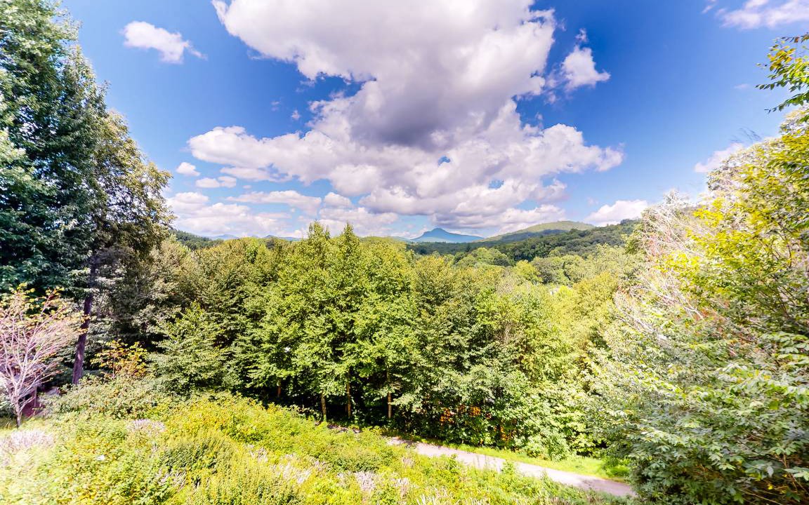 Photo of Outdoor in Pineola