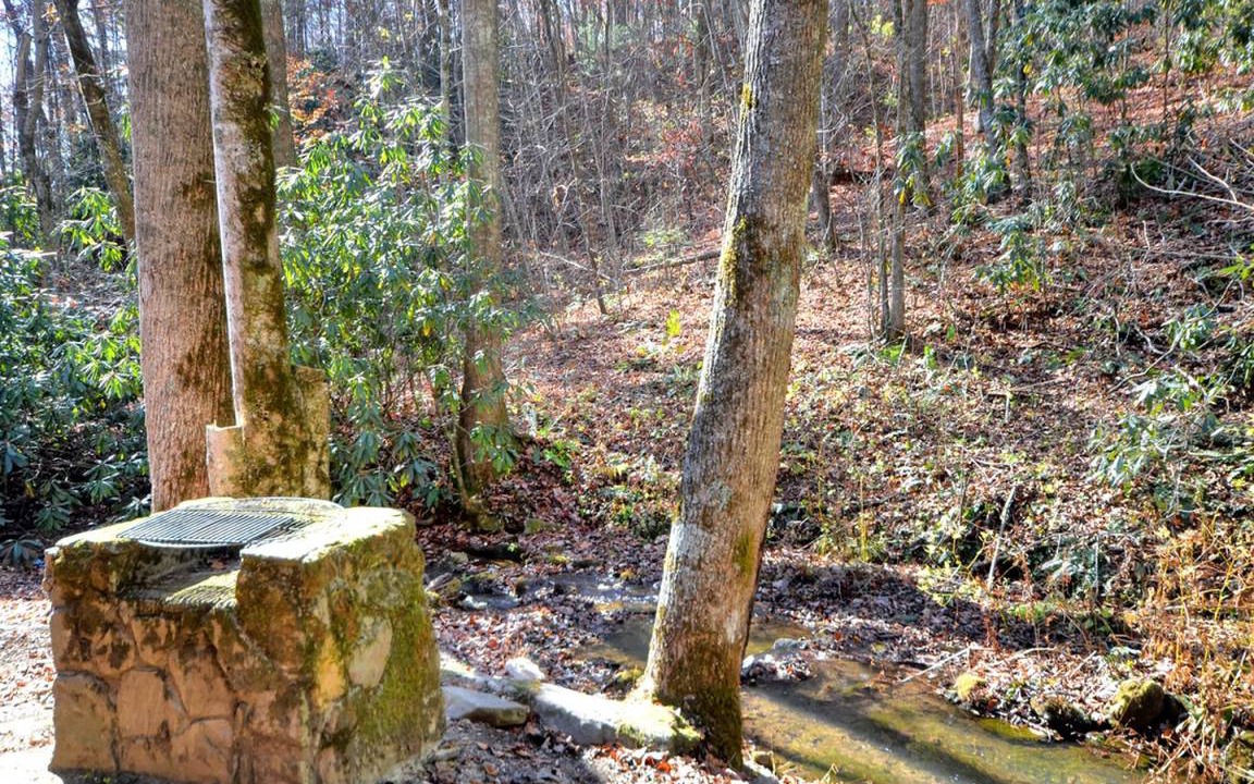 Photo of Others in Cherokee