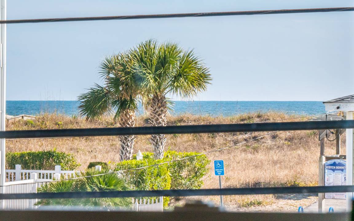 Photo of Others in North Carolina Coast