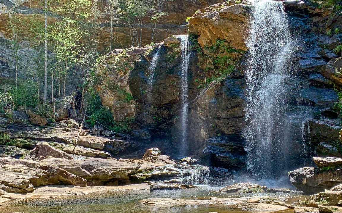 Photo of Others in Cullowhee
