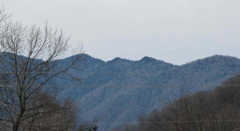 Photo of Others in Valley Creek Run
