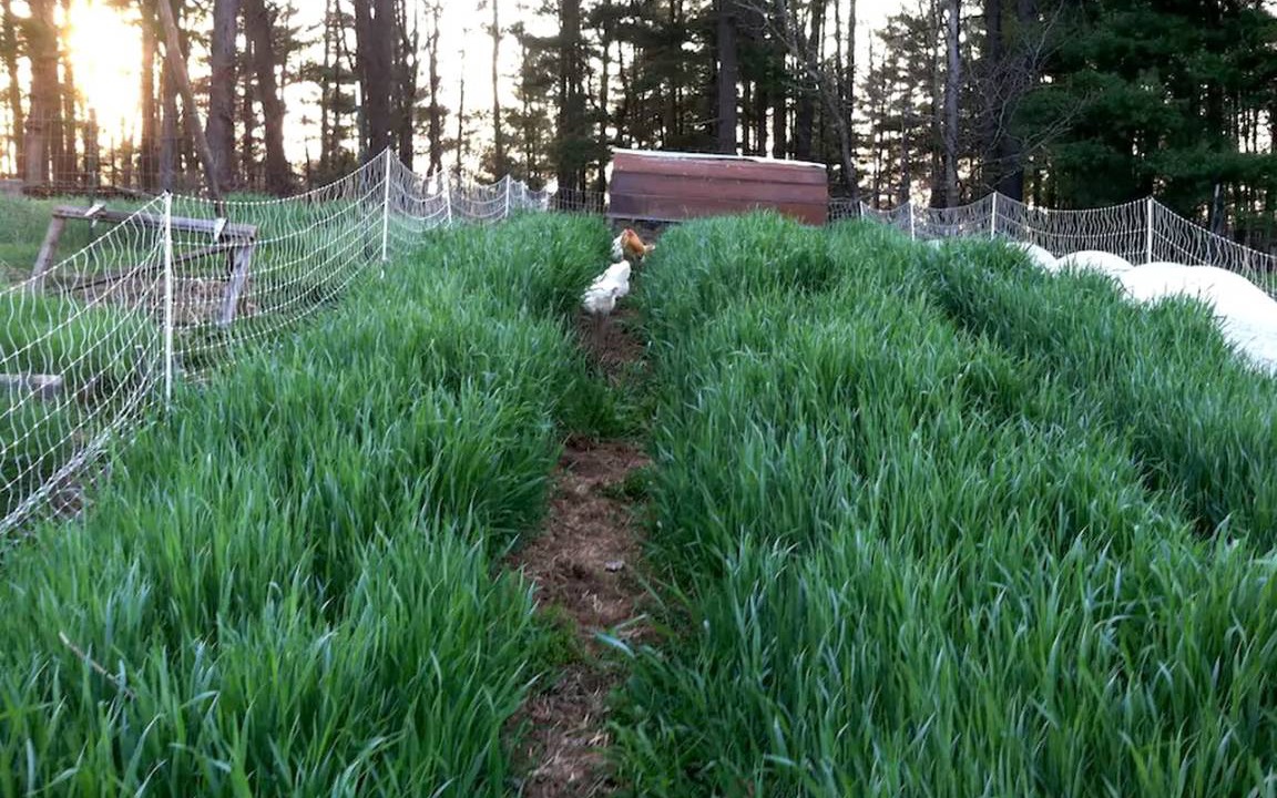 Photo of Others in Weaverville