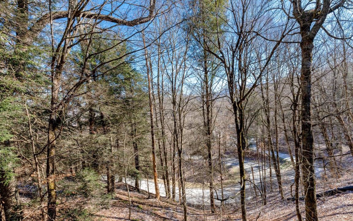 Photo of Others in Sugar Mountain