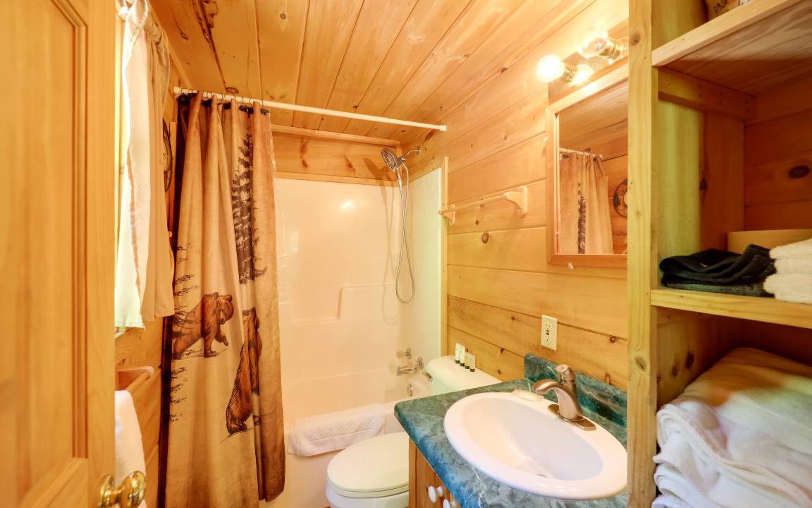 Photo of Bathroom in Vein Mountain