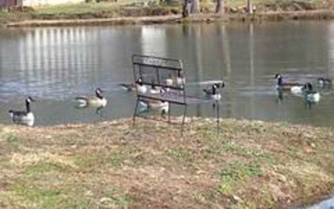 Photo of Others in Barnardsville