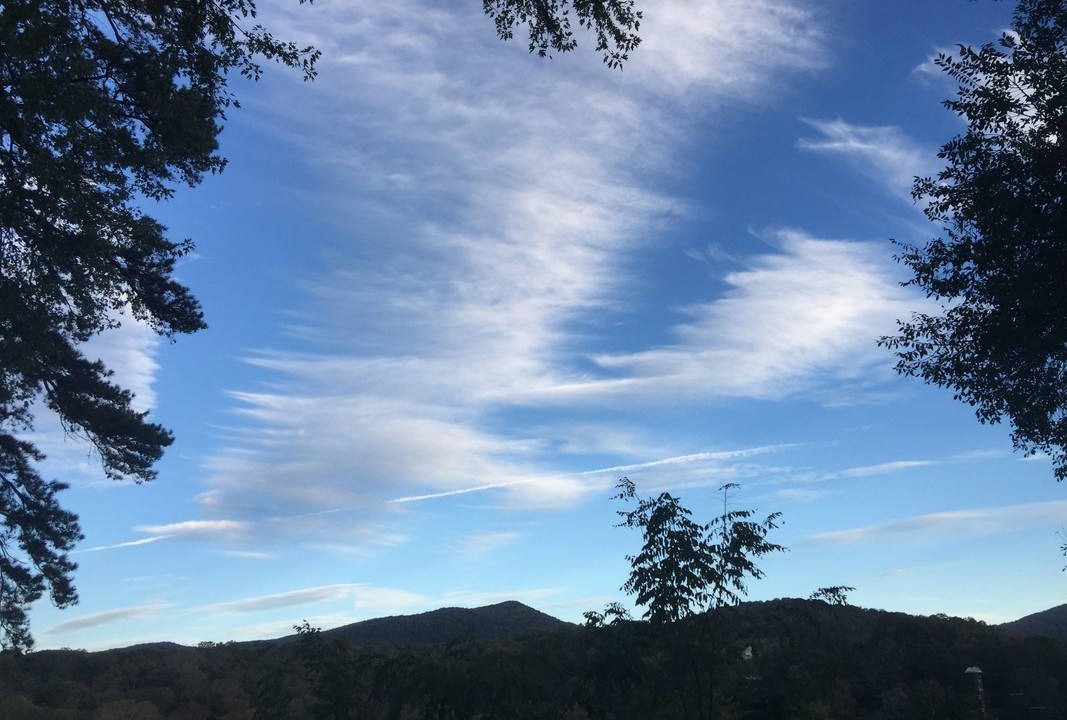 Photo of Outdoor in Beverly Hills