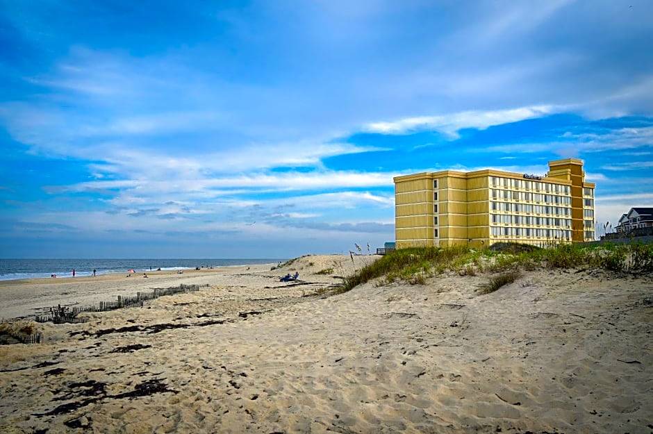 Photo of Others in South Nags Head