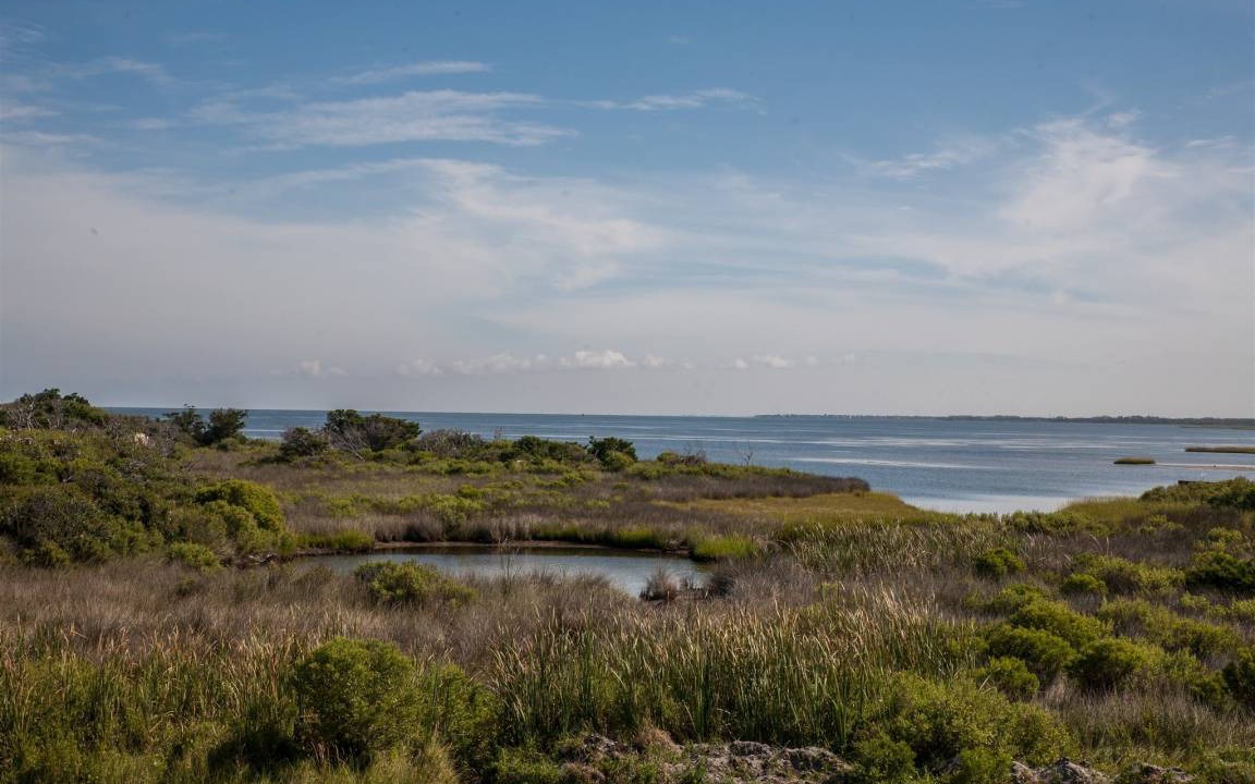 Photo of Others in Hatteras