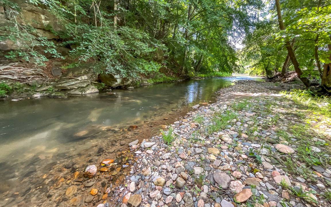 Photo of Outdoor in Millers Creek