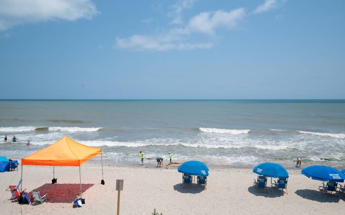 Photo of Others in Kure Beach