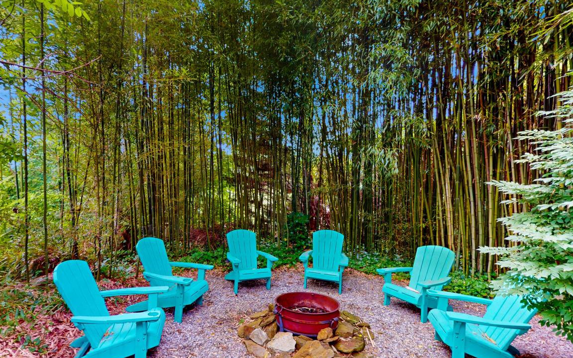 Photo of Others in Royal Pines
