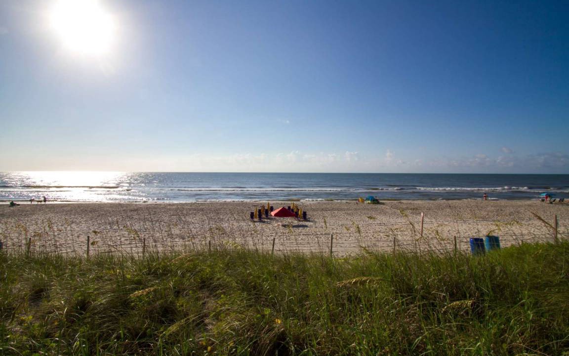 Photo of Others in Carolina Beach