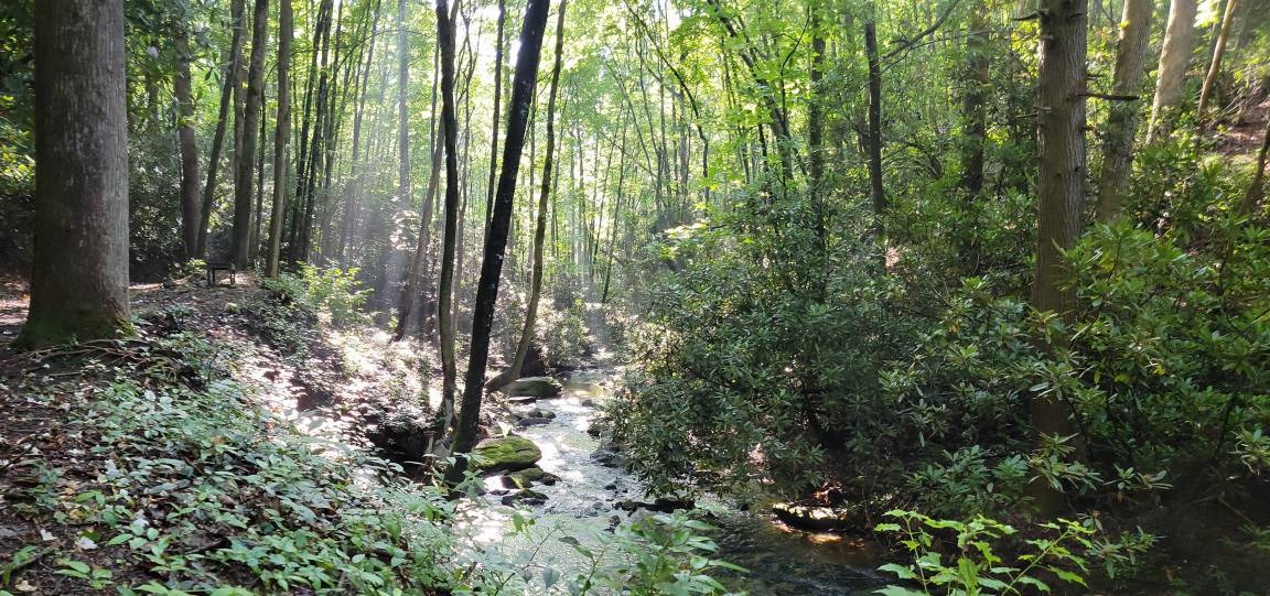 Photo of Others in Lake Toxaway