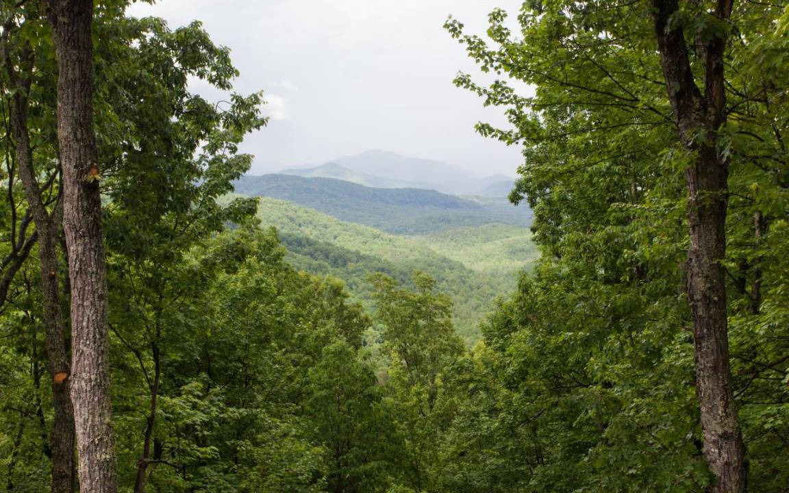 Photo of Others in Black Mountain
