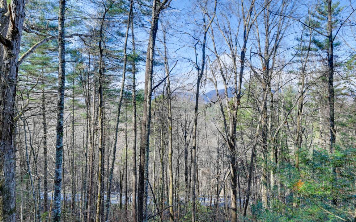Photo of Others in Bryson City