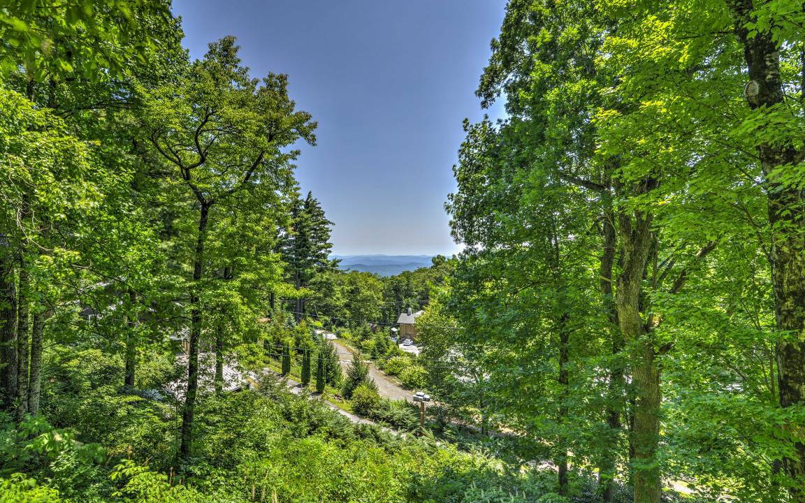 Photo of Others in Little Switzerland