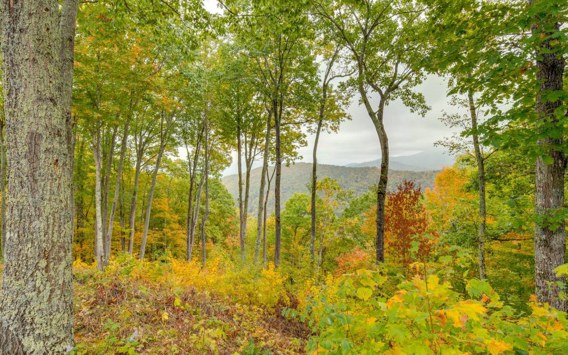 Photo of Others in Mountain Air
