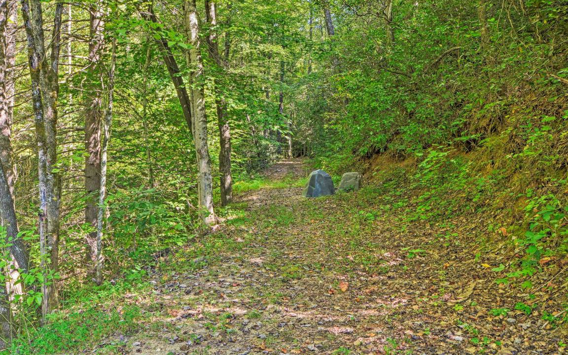 Photo of Others in Andrews