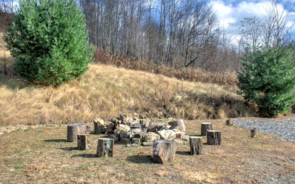 Photo of Others in Wolf Laurel