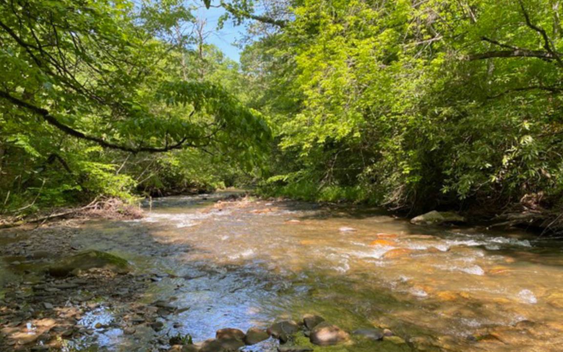 Photo of Others in Bryson City