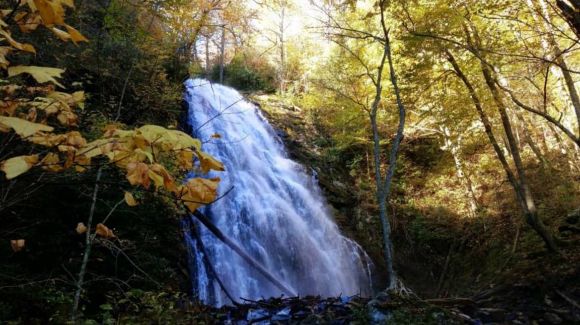 Photo of Others in Spruce Pine