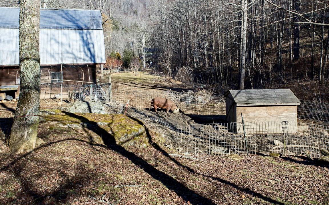 Photo of Others in Waynesville