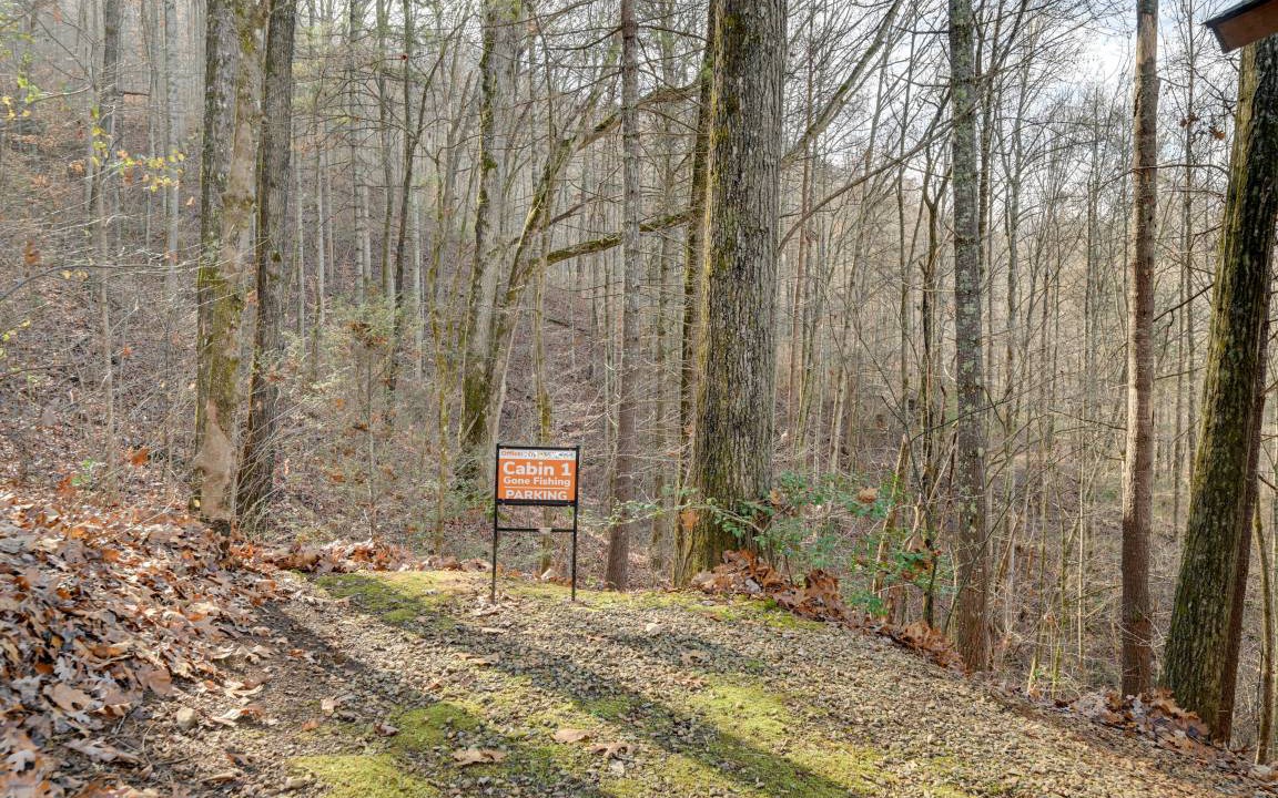 Photo of Others in Bryson City